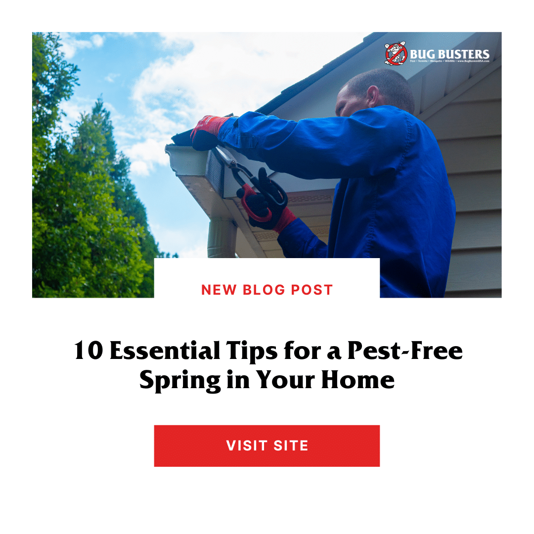 10 Essential Tips for a PestFree Spring in Your Home Bug Busters USA